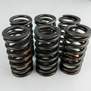 Valve Spring