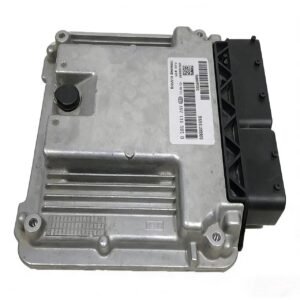 ECM (Electronic Control Module)